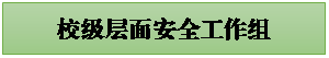 文本框: 校级层面安全工作组